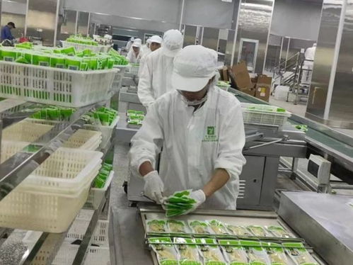 云南永善七彩食品投產(chǎn)運營獲《中國食品安全報》關(guān)注 食品安全與特色經(jīng)營的雙贏之路